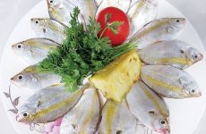 Những chú cá chỉ vàng tươi ngon