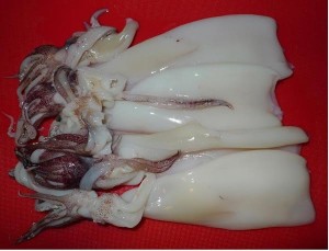 Mực tươi nguyên con