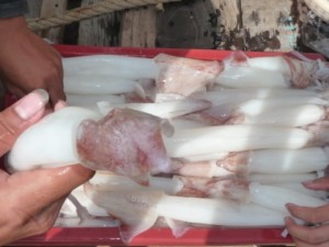 Mực ngâm hóa chất tươi rói
