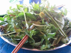 Rau sống ăn kèm mực ống ghém lá mà ca