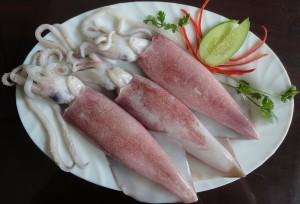 Mực ống tươi