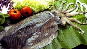 Mực nang tươi sống