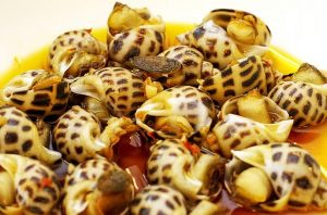 Ốc hương Hải Tiến